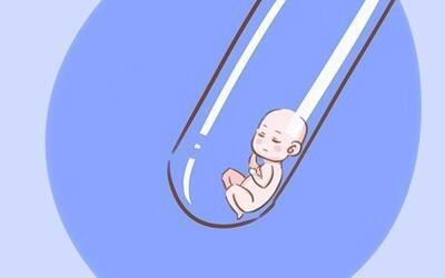 同性借卵助孕包生儿子